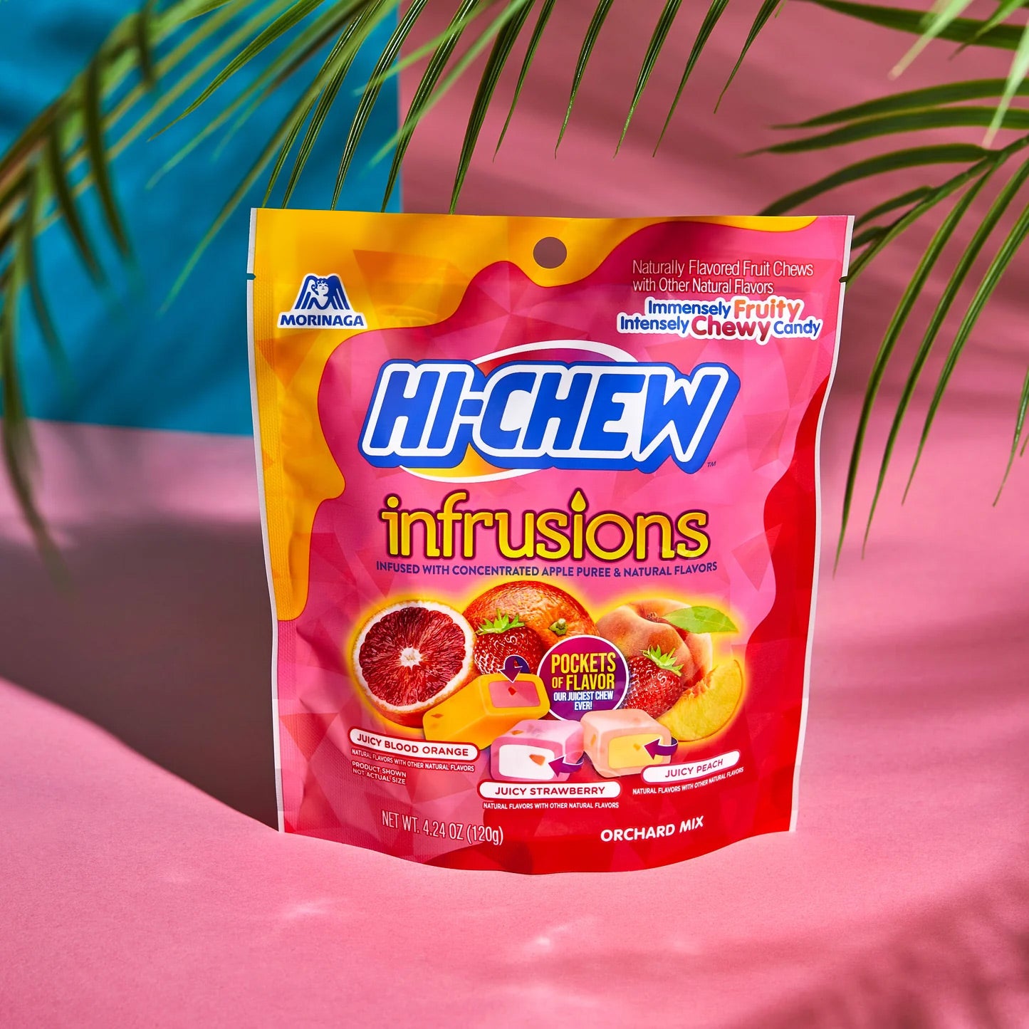 Infrusions Mini Stand Up Pouch